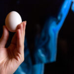 egg